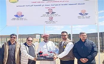   "بحوث الصحراء" ينظم برنامجًا تدريبيًا لدعم مربي الأغنام والماعز بشمال سيناء
