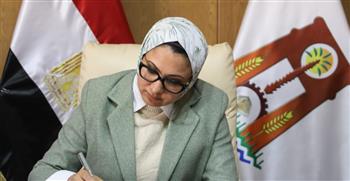   محافظ الوادي الجديد: تطبيق العمل عن بُعد يوم الأحد من كل أسبوع ولمدة شهر 