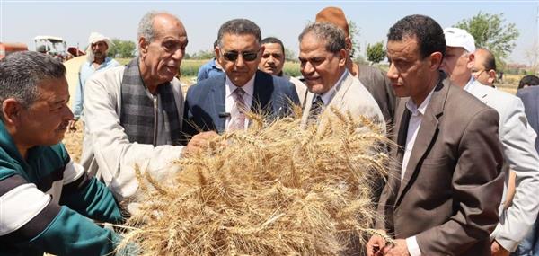 محافظ القليوبية يتفقد موسم حصاد القمح بمدينة قها ويؤكد: الدولة حريصة على دعم المزارع