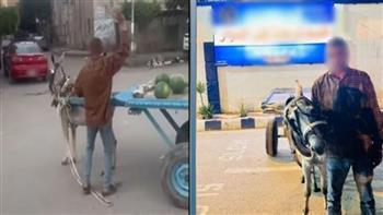 ضبط بائع خضروات تعدى على «حمار» بالحجارة في البحيرة
