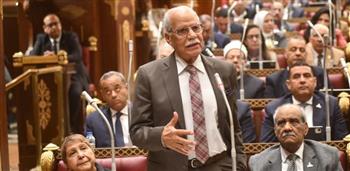   محمد أبو العلا: تعديلات منع الاحتكار سلاح الدولة لضبط الأسواق