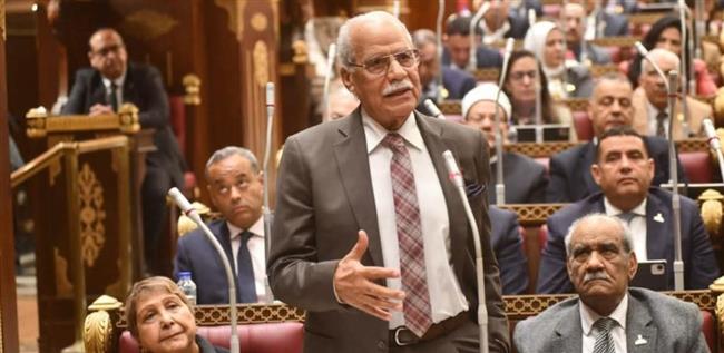 محمد أبو العلا: تعديلات منع الاحتكار سلاح الدولة لضبط الأسواق
