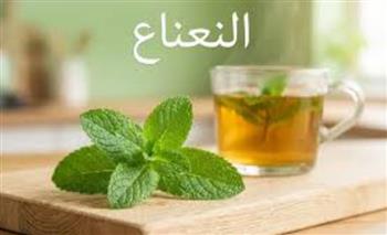   النعناع .. صيدلية طبيعية لتخفيف التقلصات وتحسين الهضم والتنفس