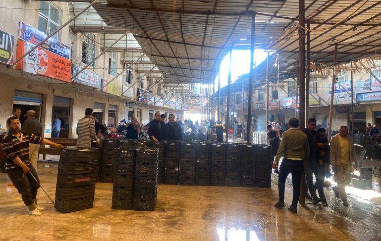 قبل شم النسيم .. البوري بـ200 جنيه والدوبار بـ100 في بورصة كفر الشيخ