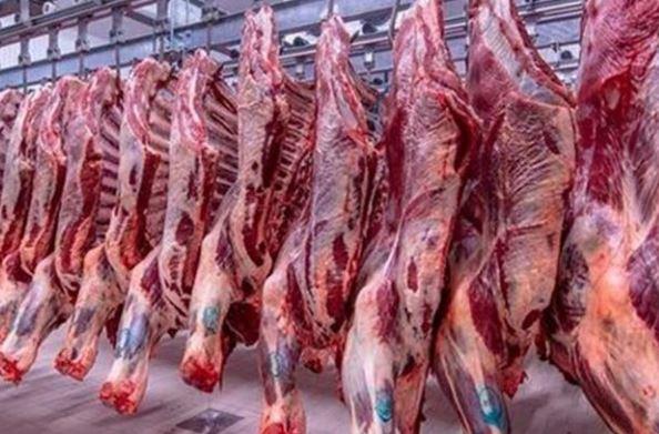 استقرار نسبي لأسعار اللحوم بالسوق المحلي