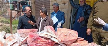    المنوفية.. ضبط 3.65 طن دقيق ودواجن غير صالحة بأسواق الباجور   