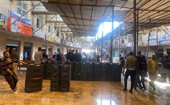   قبل شم النسيم .. البوري بـ200 جنيه والدوبار بـ100 في بورصة كفر الشيخ