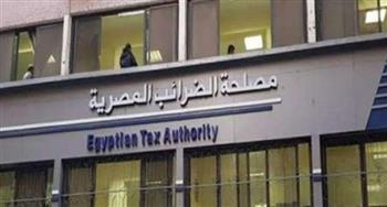   خبراء الضرائب: 4 محاور لنجاح مبادرة إلزام المصانع بتركيب الألواح الشمسية بنسبة 25% 