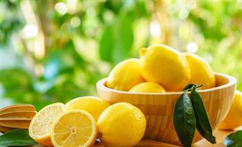   ماذا يحدث لجسمك عند تناول الحمضيات يوميا؟