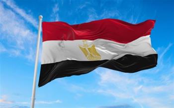   مصر تدين استهداف سفينة بضائع تجارية في المياه الإقليمية لـ قطر 