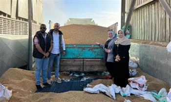   ضبط 11 طن قمح قبل تهريبهم الى السوق السوداء بالإسكندرية