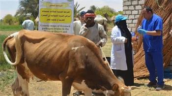   "الزراعة" تختتم القوافل الإرشادية والبيطرية لمركز بحوث الصحراء بتوشكى