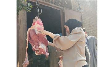   ضبط 412 كيلو لحوم ومنتجات غذائية وتحرير 40 مخالفة في المنيا