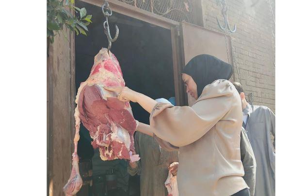 ضبط 412 كيلو لحوم ومنتجات غذائية وتحرير 40 مخالفة في المنيا