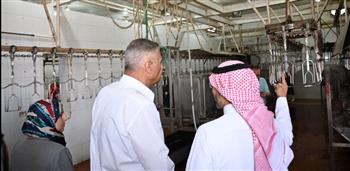   محافظ جنوب سيناء يتفقد مجازر طور سيناء