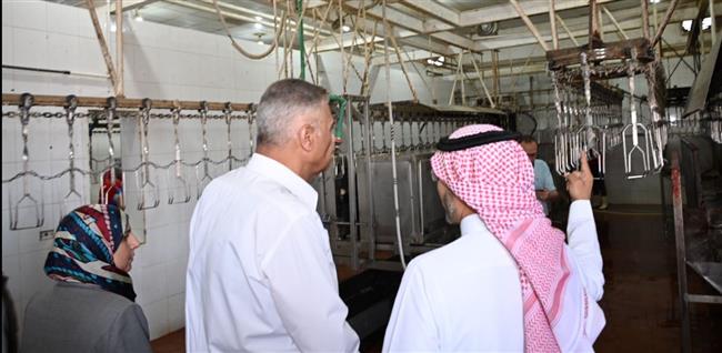 محافظ جنوب سيناء يتفقد مجازر طور سيناء
