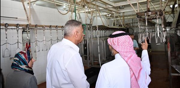 محافظ جنوب سيناء يتفقد مجازر طور سيناء
