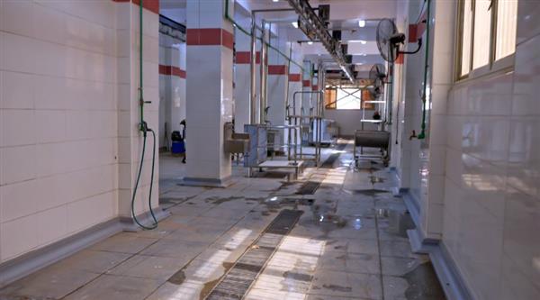 محافظ سوهاج يتابع استعدادات الطب البيطري لاستقبال عيد الأضحى المبارك