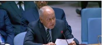   أبو الغيط يدين اختطاف ناقلة نفط على متنها بحارة مصريون قبالة سواحل اليمن