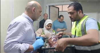 محافظ القليوبية يتابع جهود "الطب البيطري" في ضبط 3 أطنان دواجن فاسدة