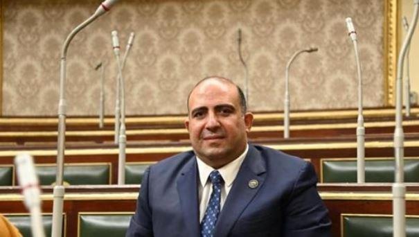 وكيل أفريقية النواب: الدولة حولت تحديات المياه والصحراء إلى فرص للإنتاج وتحقيق الأمن الغذائي