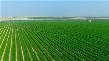   نقيب الفلاحين: «الدلتا الجديدة» أكبر مشروع زراعي في تاريخ مصر ويحقق الأمن الغذائي 