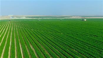نقيب الفلاحين: «الدلتا الجديدة» أكبر مشروع زراعي في تاريخ مصر ويحقق الأمن الغذائي 