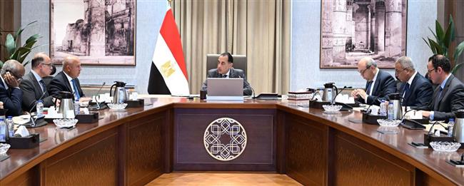 رئيس الوزراء يستعرض جهود تعزيز الربط والتبادل التجاري واللوجيستي مع الدول الإفريقية