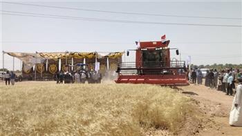   قبل عيد الأضحى.. الوادي الجديد: توريد 407 آلاف طن قمح واستمرار أعمال الاستلام