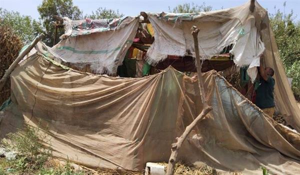 إزالات فورية بقري دنشواي ونادر وكفر عشما وحملة إشغالات مكبره بمنوف