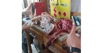   تموين الاسكندرية تضبط لحوم مذبوحة خارج السلخانة ولحوم مشكوك فى صلاحيتها 