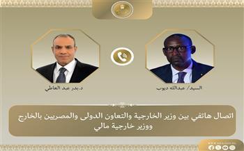 وزير الخارجية يبحث مع نظيره المالي جهود مكافحة الإرهاب في منطقة الساحل