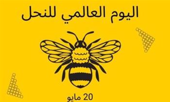   اليوم العالمي للنحل 2026.. الكائن الصغير الذي يحمي غذاء العالم وتوازن الطبيعة