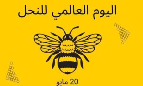 اليوم العالمي للنحل 2026.. الكائن الصغير الذي يحمي غذاء العالم وتوازن الطبيعة