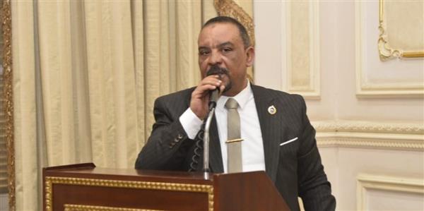 أحمد حافظ: سياسة الرئيس السيسي الخارجية أعادت لمصر ثقلها الإقليمي