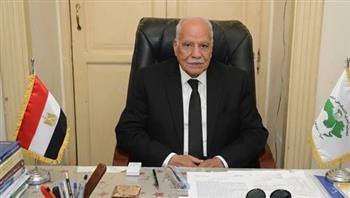 أبو العلا: مصر بقيادة السيسي تتحرك بثوابت وطنية وقومية لحماية الدولة العربية وصون الأمن القومي