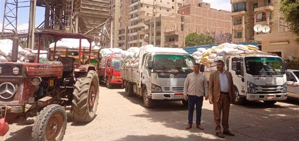 محافظ المنوفية يتابع توريد القمح وتسهيل إجراءات الاستلام