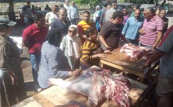   الإسكندرية .. إعدام 176 كجم أغذية غير صالحة وتحصيل أكثر من 714 ألف جنيه غرامات فورية
