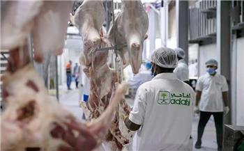   ارتفاع عدد الأضاحي إلى أكثر من مليون رأس في الحج