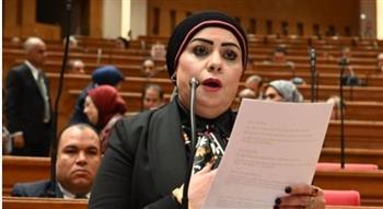   شاهين: مصر تقوم بدور محوري في احتواء الأزمات الإقليمية 