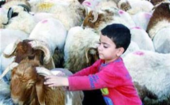 نصائح هامة لحماية الأبناء من أضحية العيد