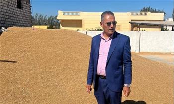   زراعة الإسكندرية تتابع توريد القمح بالعامرية وتكثف المرور لدعم المزارعين