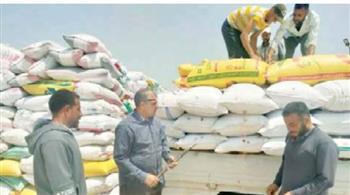   76523 طن كمية الأقماح الواردة  إلى لجان الاستلام حتى الآن بالإسكندرية