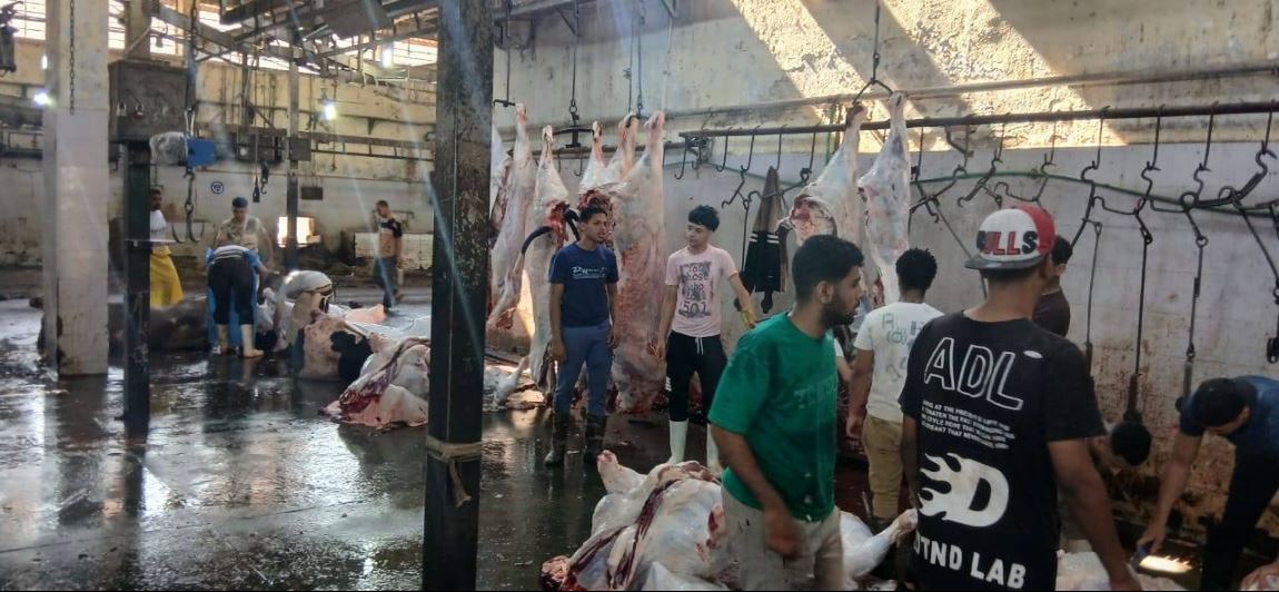 الجيزة: ذبح 4300 أضحية بالمجان داخل المجازر خلال عيد الأضحى