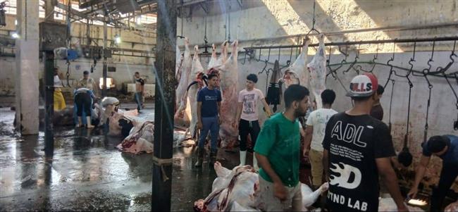 الجيزة: ذبح 4300 أضحية بالمجان داخل المجازر خلال عيد الأضحى