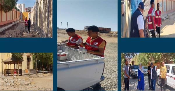 محافظ قنا يوجه بتكثيف حملات تحصين الكلاب الضالة بمدينة قنا الجديدة
