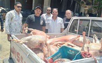   الجيزة تضرب بيد من حديد ضد الأغذية الفاسدة