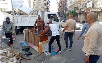   تنفيذ حملات مكثفة لإزالة الإشغالات والتعديات على حرم الطريق العام بأحياء الإسكندرية