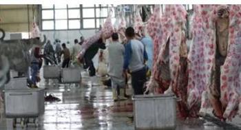 مدير عام المجازر: ذبح أكثر من 35 ألف أضحية بالمجازر الحكومية خلال العيد