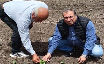   "الزراعة" تتابع زراعات القطن بكفر الشيخ ومؤشرات ممتازة للموسم الجديد 